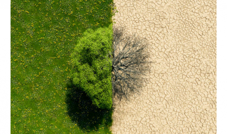 “Artık kuraklıkla yüzleşmeliyiz” - GÜNDEM - İnternetin Ajansı