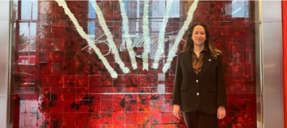 CHP Ankara İl Kadın Kolları Başkanı Ayça Çağlar: “Madenlerde Yaşananlar Kader Değil, İhmaller Zinciridir” - GÜNDEM - İnternetin Ajansı