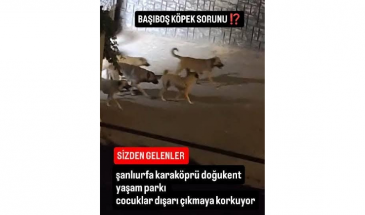 Ferhat Karadağ: “Yaşam Parkı’nda Vatandaşların Can Güvenliği Sağlanmalıdır” - GÜNDEM - İnternetin Ajansı